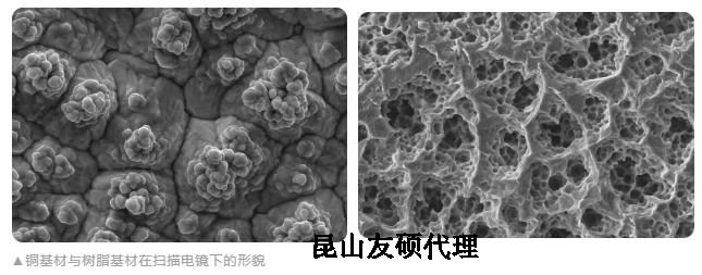 南平蔡司南平扫描电镜